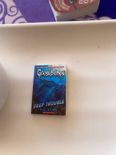 Coleção de mini books