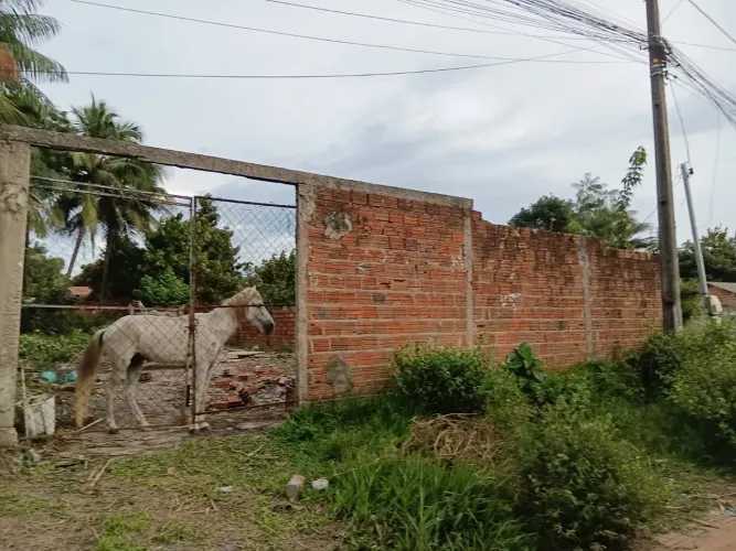 Vendo um terreno estrada da Maioba