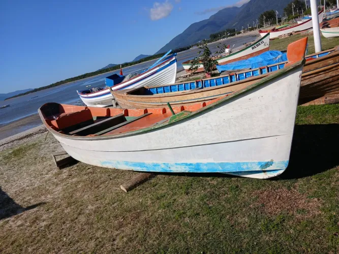Bote