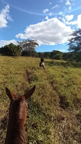 Aluga-se fazenda Ivolândia 