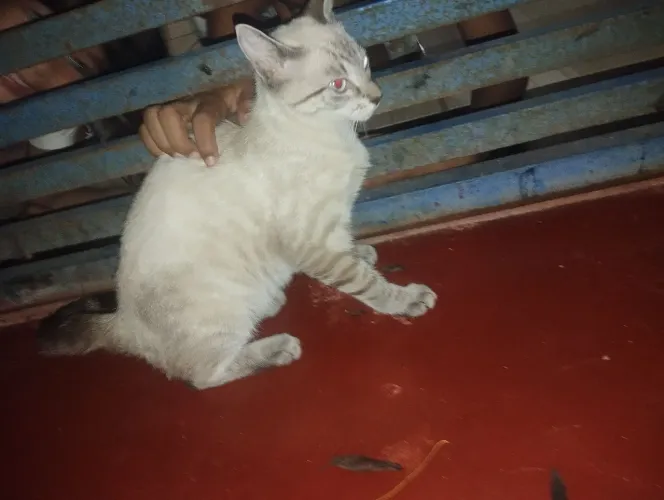 Doação responsável 