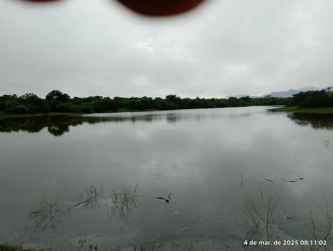 Vende-se fazenda em Canindé com 51 hectares
