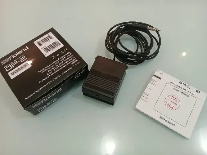 Pedal Switch DP-2 Roland