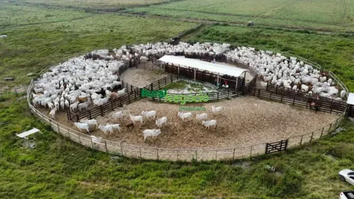 FAZENDA PARA GADO CORTE / LEITE DE EXCELENTE TOPOGRAFIA