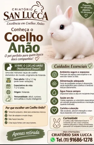 Min Coelho