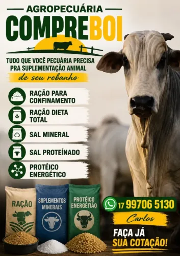 RAÇÃO PARA GADO - SAL PROTEINADO 