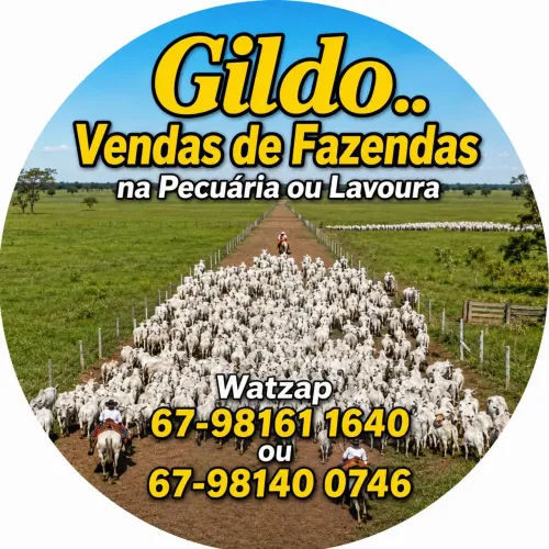 GILDO...VENDAS DE FAZENDAS