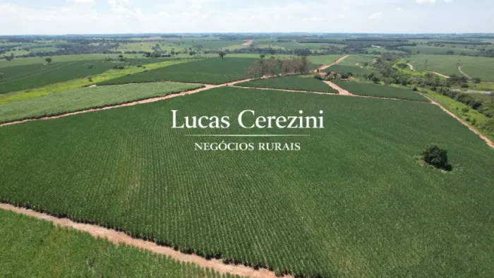 79.8 Alqueires 81% em cana 50 ton/ano
