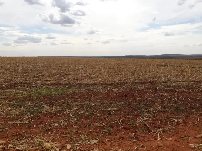 fazenda em campo florido 257 alqueirão 102.800.000 ( ja )