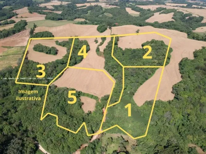 Áreas Fracionadas, média de 20.000m² em Campo Largo / PR.