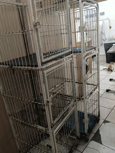 Vendo barato 2 gaiolas .