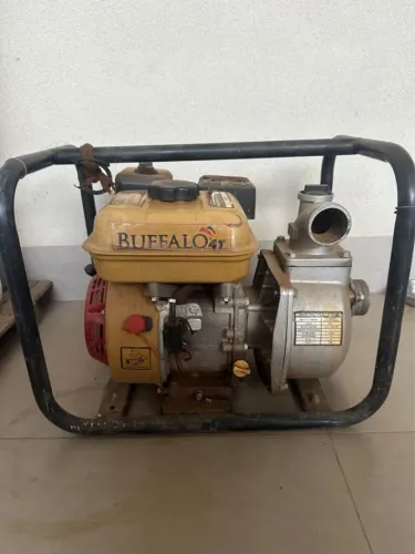 Motobomba Buffalo BFG 2