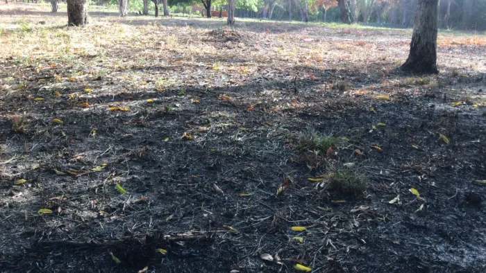 SÍTIO À VENDA ? 1 HECTARE NO CORAÇÃO DE SÃO LUÍS!