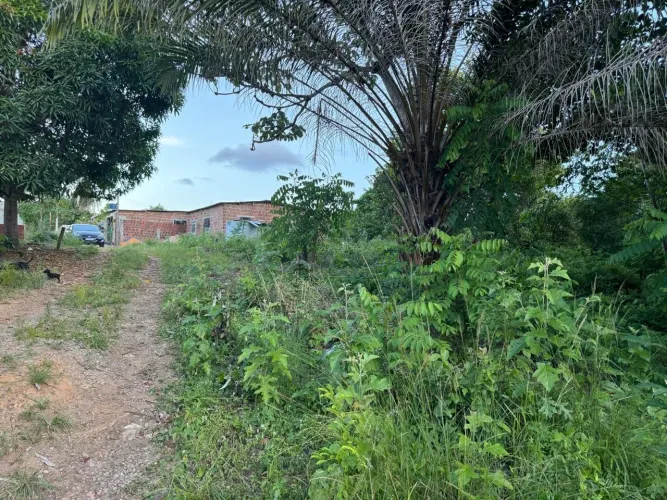  2 TERRENOS