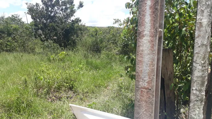 Vendo excelente terreno em amado Bahia