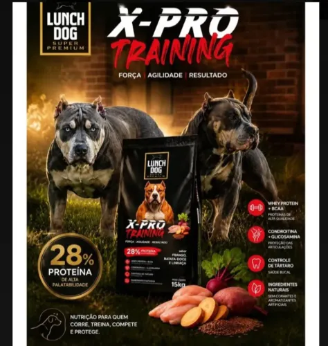 Ração X Pro Training 15kg Super Premium