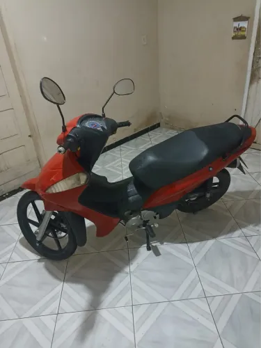 Bull