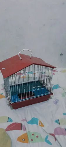 Vende-se gaiola retirada no Jacintinho