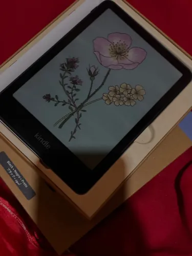Kindle colorsoft 16 GB