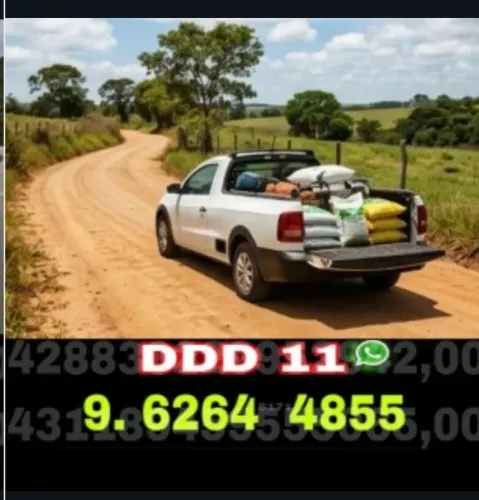 Frete, Mudanças e Serviços de Transportes com Equipe Especializada