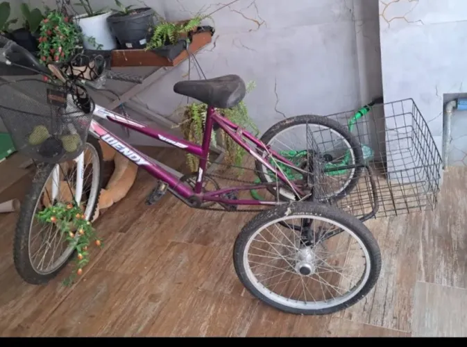 Bicicleta triciclo