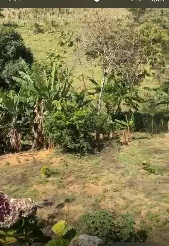 VENDE UMA CHÁCARA NO INTERIOR DE MARECHAL FLORIANO 