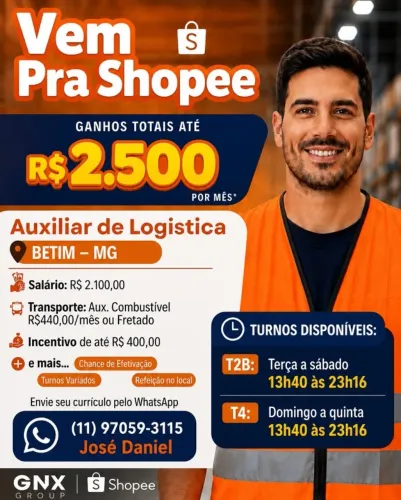AUXILIAR DE LOGÍSTICA BETIM