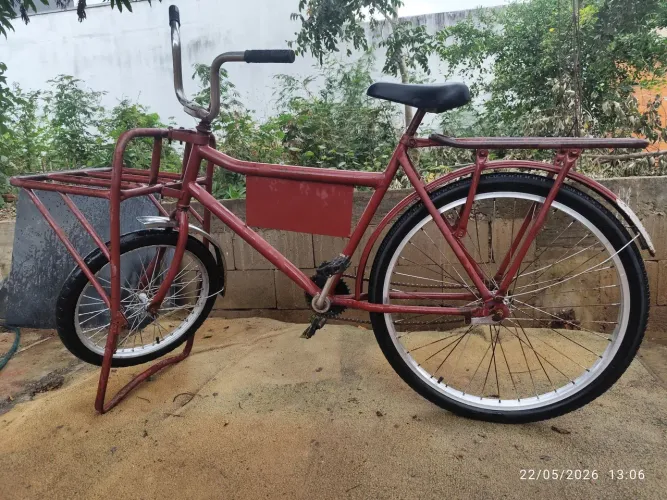 Bicicleta cargueira 
