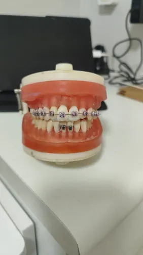Manequim odontologia