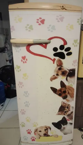 Geladeira 1 porta com Congelador 
