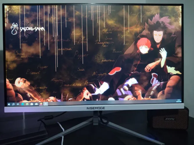 Monitor 24 pol