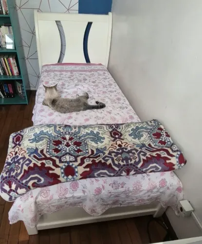 Cama de solteiro de madeira laqueada em branco