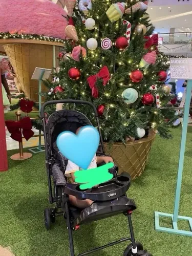 Carrinho de bebê semi novo