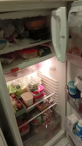 Vendo geladeira funcionando normalmente