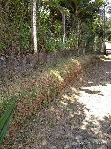 Limpeza de lote