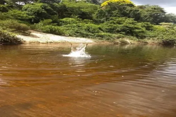 Fazendinhas de 20.000m² as margens do Rio Paraúna /Serra do Cipó (Temos varias opções).