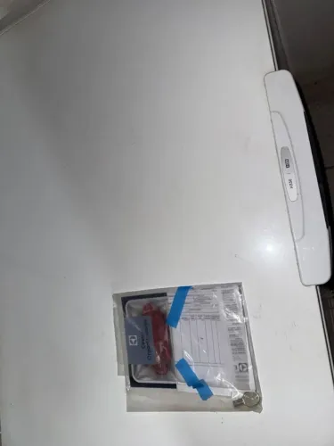 Freezer electrolux 316L