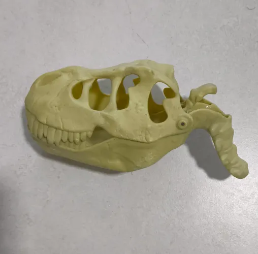 Cabeça de Dinossauro T-Rex - Brinquedo Retrô Colecionável