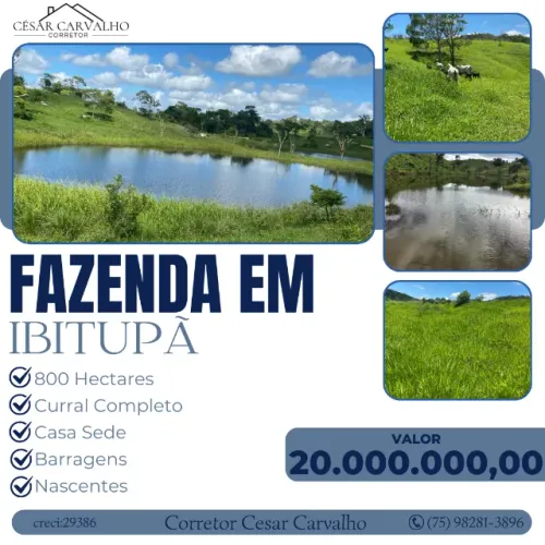FAZENDA EM IBITUPÃ - 800 HECTARES