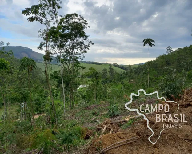 ÁREA 22.000 EM MONTEIRO LOBATO !