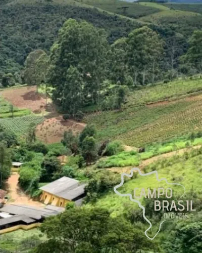 FAZENDA COM 30 ALQUEIRES EM SILVEIRAS /SP COM CERTIFICAÇÃO ORGÂNICA ECOCERT NA PRODUÇÃO DE