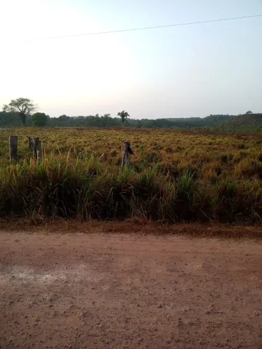 Fazenda á venda no Maranhão com 223 hectares para pecuária, rica em água, 110 ha de Momba