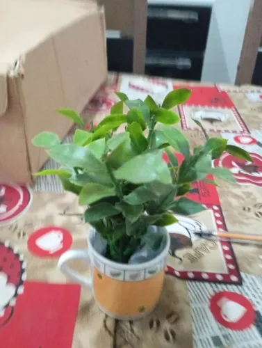 Ramo de bambu