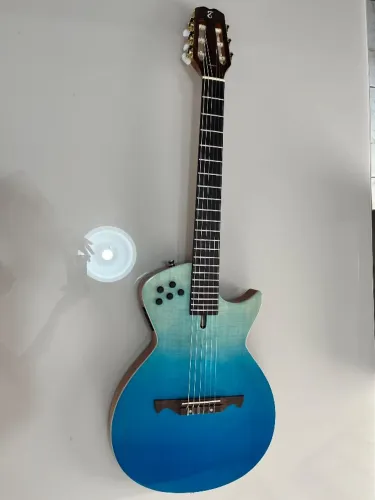 Violão Tagima