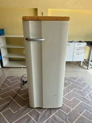 Geladeira Electrolux 260 litros completinha ((ENTREGO GRATIS))