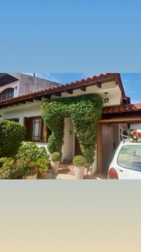 Serviços de jardinagem e paisagismo 