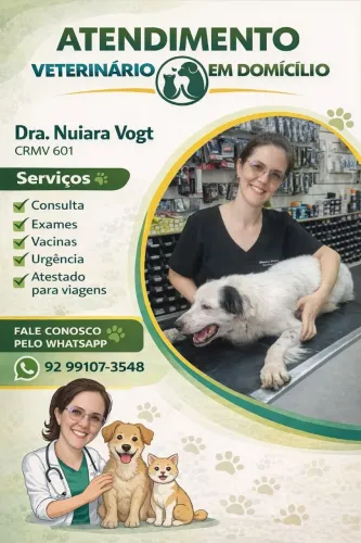 Veterinário a Domicílio em Manaus Am