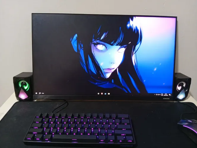 Monitor 75hz