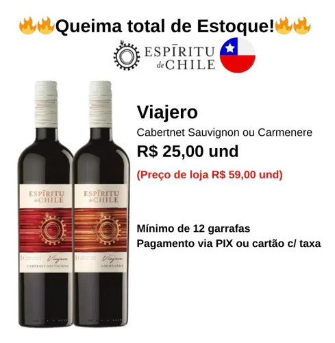 QUEIMA DE ESTOQUE - VINHO CHILENO ESPIRITU DE CHILE VIAJERO