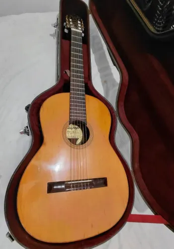 Violão Digiorgio n° 18 som cristal , alta classe.